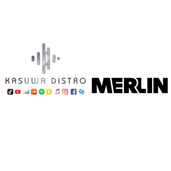 merlin co | Kasuwa Digital